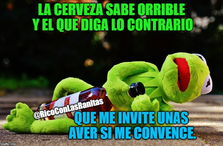 Kermit | LA CERVEZA SABE ORRIBLE Y EL QUE DIGA LO CONTRARIO; QUE ME INVITE UNAS AVER SI ME CONVENCE. | image tagged in kermit | made w/ Imgflip meme maker