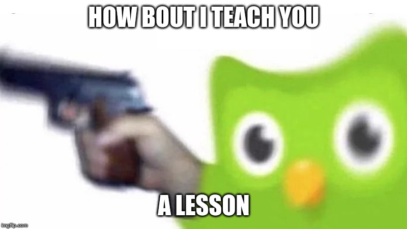 duolingo gun | HOW BOUT I TEACH YOU A LESSON | image tagged in duolingo gun | made w/ Imgflip meme maker