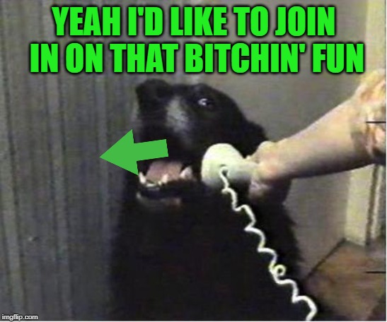 Yes this is dog | YEAH I'D LIKE TO JOIN IN ON THAT B**CHIN' FUN | image tagged in yes this is dog | made w/ Imgflip meme maker