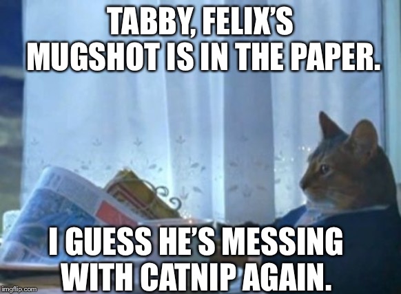 I Should Buy A Boat Cat Meme | TABBY, FELIX’S MUGSHOT IS IN THE PAPER. I GUESS HE’S MESSING WITH CATNIP AGAIN. | image tagged in memes,i should buy a boat cat | made w/ Imgflip meme maker