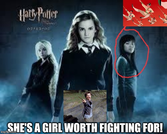 harry fights for all the girls | SHE'S A GIRL WORTH FIGHTING FOR! | image tagged in funny,harry potter,girls,squad,fight,wizards | made w/ Imgflip meme maker
