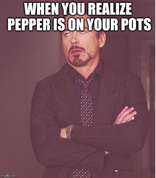 Face You Make Robert Downey Jr Meme | WHEN YOU REALIZE PEPPER IS ON YOUR POTS | image tagged in memes,face you make robert downey jr | made w/ Imgflip meme maker