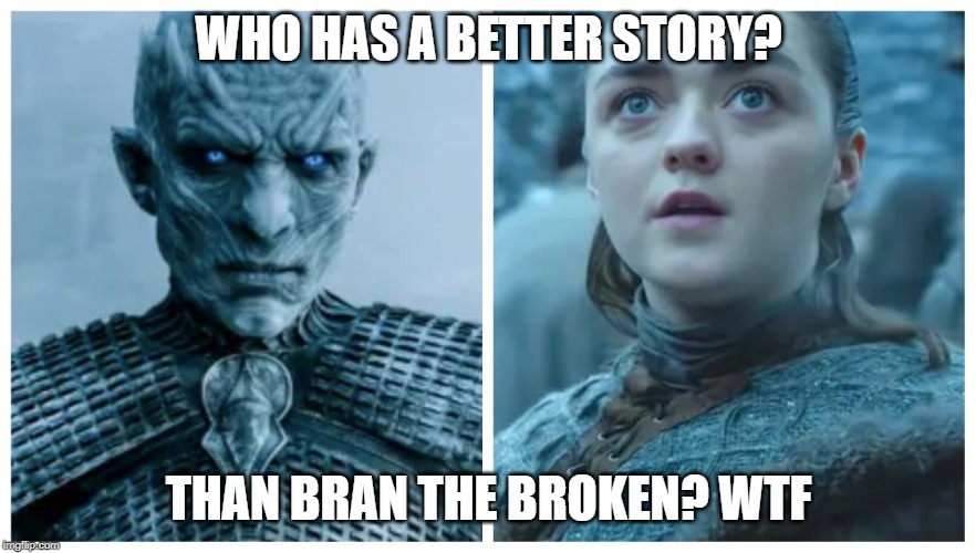 Night King Arya | WHO HAS A BETTER STORY? THAN BRAN THE BROKEN? WTF | image tagged in night king arya | made w/ Imgflip meme maker