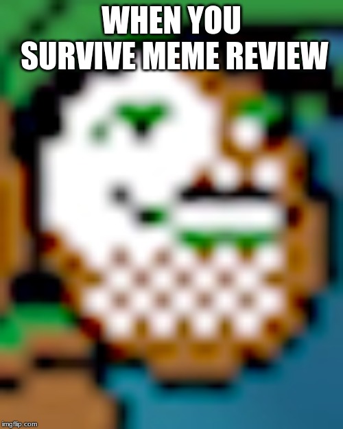 YES! | WHEN YOU SURVIVE MEME REVIEW | image tagged in pokemon,go,pewdiepie,pokemonmeme | made w/ Imgflip meme maker