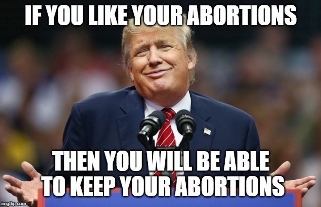 Now Let Me Be Clear! | IF YOU LIKE YOUR ABORTIONS; THEN YOU WILL BE ABLE TO KEEP YOUR ABORTIONS | image tagged in constipated trump,roe vs wade,prolife | made w/ Imgflip meme maker