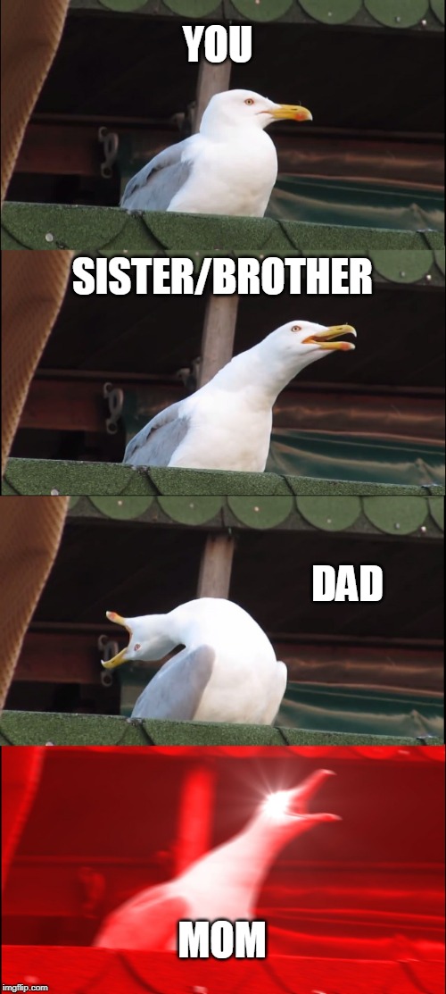 Inhaling Seagull | YOU; SISTER/BROTHER; DAD; MOM | image tagged in memes,inhaling seagull | made w/ Imgflip meme maker