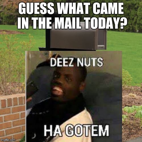 MAILBOX | GUESS WHAT CAME IN THE MAIL TODAY? | image tagged in mailbox memes | made w/ Imgflip meme maker