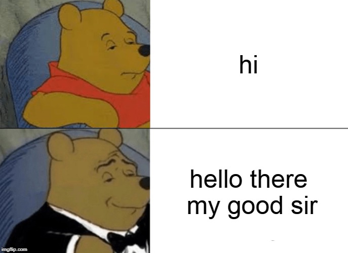 (low) quality meme | hi; hello there my good sir | image tagged in memes,tuxedo winnie the pooh | made w/ Imgflip meme maker