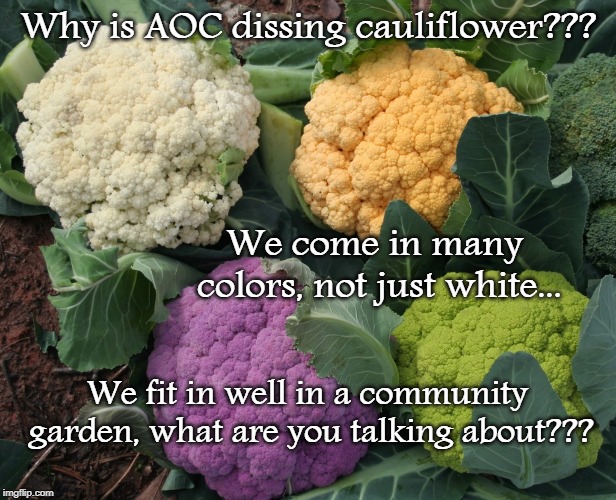 There she goes again... | Why is AOC dissing cauliflower??? We come in many colors, not just white... We fit in well in a community garden, what are you talking about??? | image tagged in aoc,cauliflower,colors,community garden | made w/ Imgflip meme maker