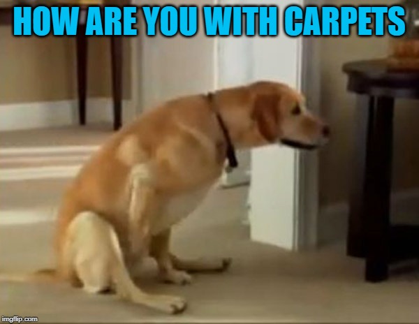 HOW ARE YOU WITH CARPETS | made w/ Imgflip meme maker