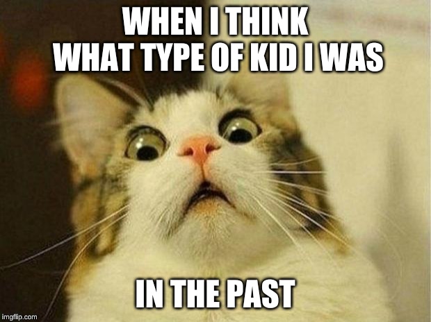 Scared Cat | WHEN I THINK WHAT TYPE OF KID I WAS; IN THE PAST | image tagged in memes,scared cat | made w/ Imgflip meme maker