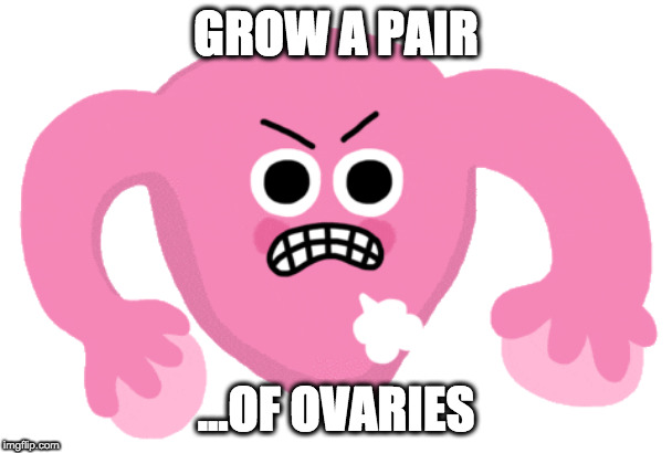 Grow a Pair | GROW A PAIR; ...OF OVARIES | image tagged in grow a pair | made w/ Imgflip meme maker