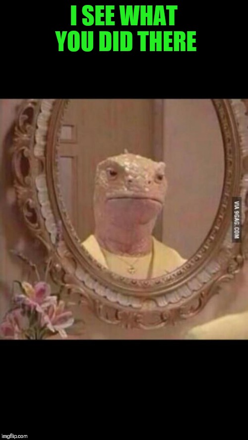 Realization lizard | I SEE WHAT YOU DID THERE | image tagged in realization lizard | made w/ Imgflip meme maker