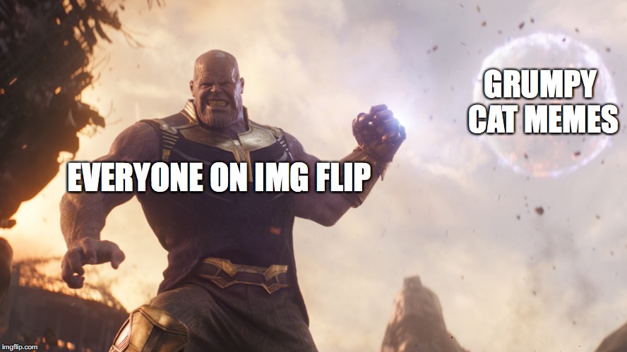 thanos | GRUMPY CAT MEMES; EVERYONE ON IMG FLIP | image tagged in thanos | made w/ Imgflip meme maker