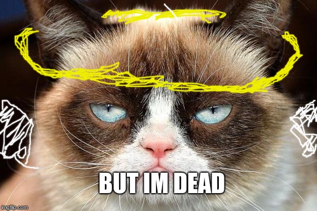 Grumpy Cat Not Amused Meme | BUT IM DEAD | image tagged in memes,grumpy cat not amused,grumpy cat | made w/ Imgflip meme maker