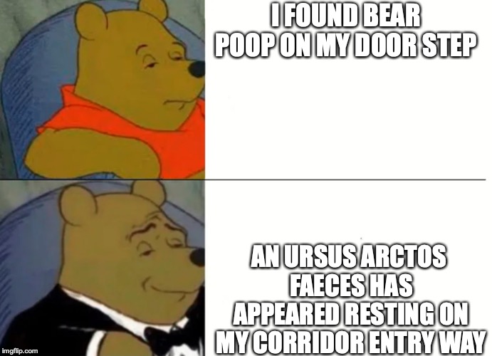 Fancy Winnie The Pooh Meme | I FOUND BEAR POOP ON MY DOOR STEP; AN URSUS ARCTOS FAECES HAS APPEARED RESTING ON MY CORRIDOR ENTRY WAY | image tagged in fancy winnie the pooh meme | made w/ Imgflip meme maker