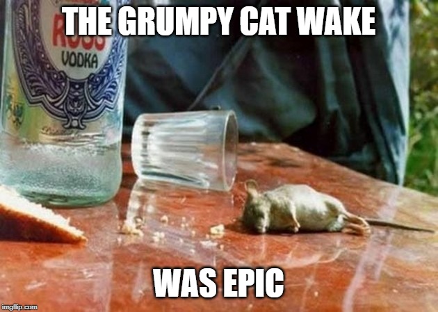 THE GRUMPY CAT WAKE; WAS EPIC | made w/ Imgflip meme maker