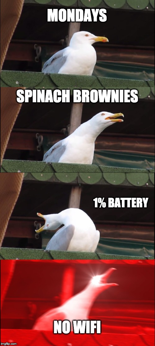 Inhaling Seagull | MONDAYS; SPINACH BROWNIES; 1% BATTERY; NO WIFI | image tagged in memes,inhaling seagull | made w/ Imgflip meme maker