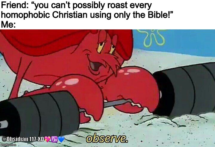 Observe | Friend: “you can’t possibly roast every homophobic Christian using only the Bible!”                                                       Me:; @Obsidian 117-XD💖♑️💙 | image tagged in observe | made w/ Imgflip meme maker