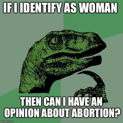 Philosoraptor Meme | IF I IDENTIFY AS WOMAN THEN CAN I HAVE AN OPINION ABOUT ABORTION? | image tagged in memes,philosoraptor | made w/ Imgflip meme maker