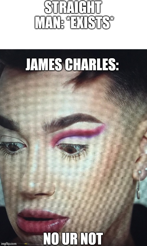 James Charles | STRAIGHT MAN: *EXISTS*; JAMES CHARLES:; NO UR NOT | image tagged in james charles | made w/ Imgflip meme maker