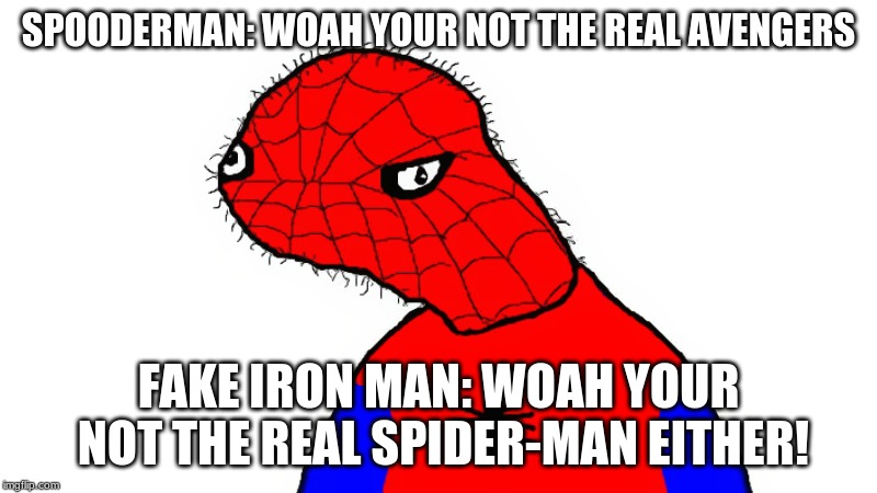 Real Spiderman | SPOODERMAN: WOAH YOUR NOT THE REAL AVENGERS; FAKE IRON MAN: WOAH YOUR NOT THE REAL SPIDER-MAN EITHER! | image tagged in real spiderman | made w/ Imgflip meme maker