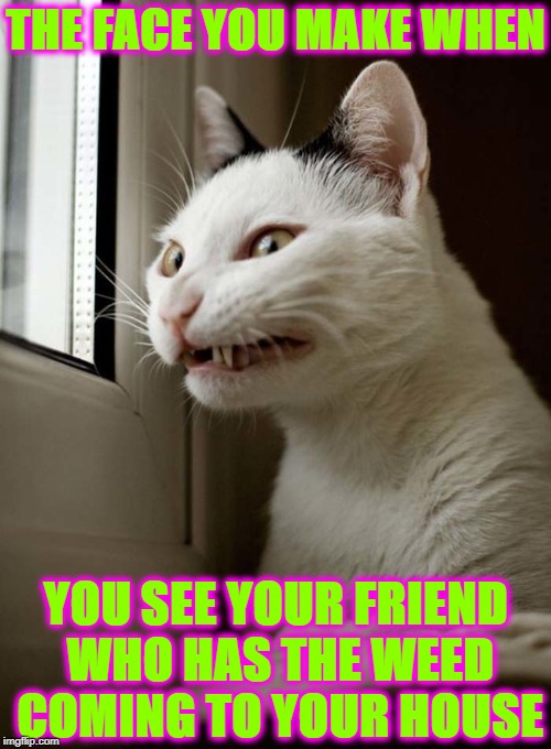 FACE YOU MAKE | THE FACE YOU MAKE WHEN; YOU SEE YOUR FRIEND WHO HAS THE WEED COMING TO YOUR HOUSE | image tagged in face you make | made w/ Imgflip meme maker