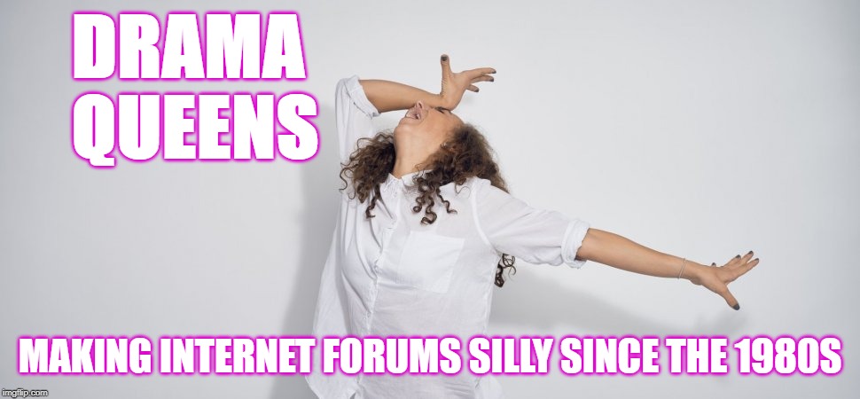 Drama Queen | DRAMA QUEENS; MAKING INTERNET FORUMS SILLY SINCE THE 1980S | image tagged in drama queen | made w/ Imgflip meme maker