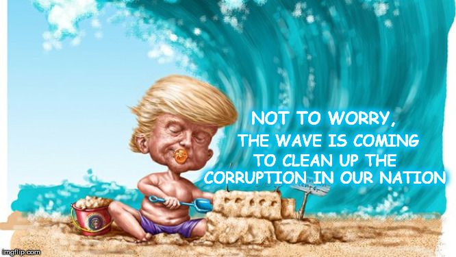 A Blue Wave is Coming | NOT TO WORRY, TO CLEAN UP THE CORRUPTION IN OUR NATION; THE WAVE IS COMING | image tagged in election 2020,donald trump,bluewave,potus,gop,clean the dc swamp | made w/ Imgflip meme maker