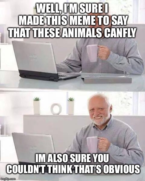 WELL, I’M SURE I MADE THIS MEME TO SAY THAT THESE ANIMALS CANFLY IM ALSO SURE YOU COULDN’T THINK THAT’S OBVIOUS | image tagged in memes,hide the pain harold | made w/ Imgflip meme maker