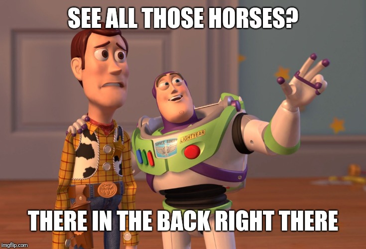 X, X Everywhere Meme | SEE ALL THOSE HORSES? THERE IN THE BACK RIGHT THERE | image tagged in memes,x x everywhere | made w/ Imgflip meme maker