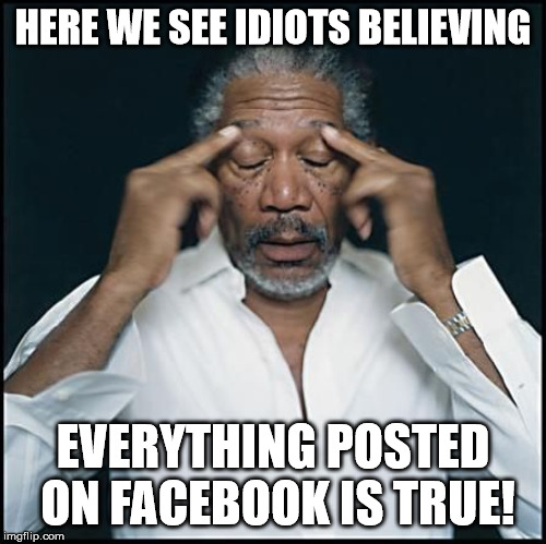 Morgan Freeman Heavy Thought  | HERE WE SEE IDIOTS BELIEVING; EVERYTHING POSTED ON FACEBOOK IS TRUE! | image tagged in morgan freeman heavy thought | made w/ Imgflip meme maker