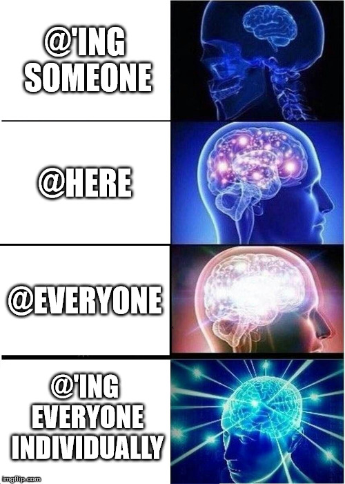 Discord Tagging | @'ING SOMEONE; @HERE; @EVERYONE; @'ING EVERYONE INDIVIDUALLY | image tagged in memes,expanding brain,discord | made w/ Imgflip meme maker