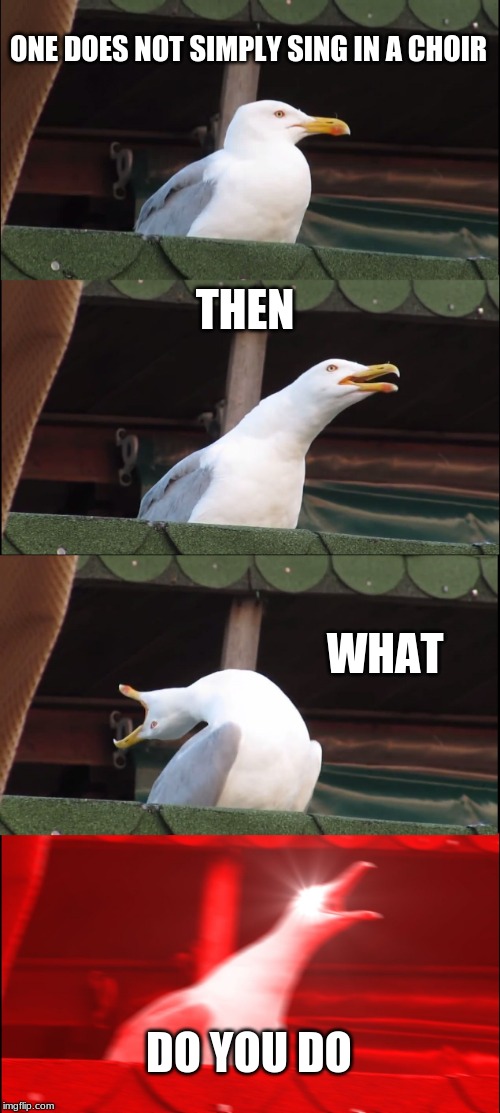 Inhaling Seagull Meme | ONE DOES NOT SIMPLY SING IN A CHOIR; THEN; WHAT; DO YOU DO | image tagged in memes,inhaling seagull | made w/ Imgflip meme maker