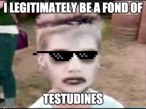 The I like Turtles kid | I LEGITIMATELY BE A FOND OF TESTUDINES | image tagged in the i like turtles kid | made w/ Imgflip meme maker