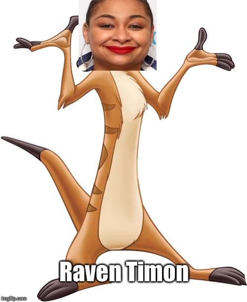 Raven Timon | image tagged in timon,lion king,raven symone,pun | made w/ Imgflip meme maker