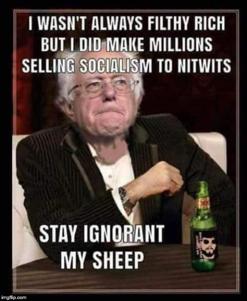 Sheeple | image tagged in bernie sanders,socialism | made w/ Imgflip meme maker