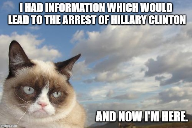 Grumpy Cat Sky | I HAD INFORMATION WHICH WOULD LEAD TO THE ARREST OF HILLARY CLINTON; AND NOW I'M HERE. | image tagged in memes,grumpy cat sky,grumpy cat | made w/ Imgflip meme maker
