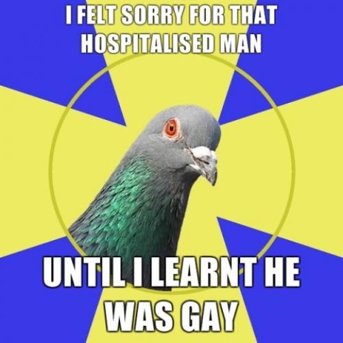 image tagged in memes,religion pigeon