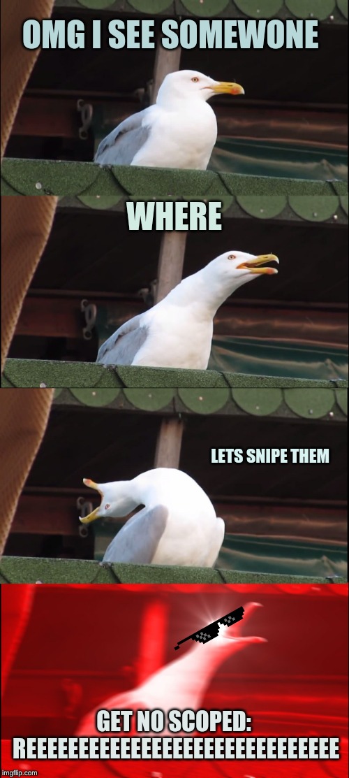 Inhaling Seagull | OMG I SEE SOMEWONE; WHERE; LETS SNIPE THEM; GET NO SCOPED: REEEEEEEEEEEEEEEEEEEEEEEEEEEEEE | image tagged in memes,inhaling seagull | made w/ Imgflip meme maker