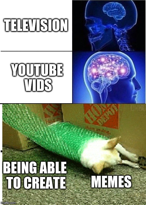 Expanding Brain Meme | TELEVISION; YOUTUBE VIDS; BEING ABLE TO CREATE; MEMES | image tagged in memes,expanding brain | made w/ Imgflip meme maker