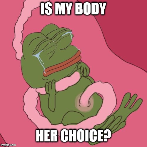 save the pepes | IS MY BODY; HER CHOICE? | image tagged in fetus pepe | made w/ Imgflip meme maker