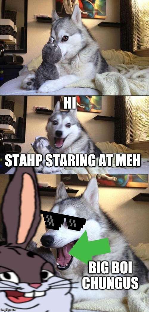 hi | HI; STAHP STARING AT MEH; BIG BOI CHUNGUS | image tagged in big chungus,bad pun dog | made w/ Imgflip meme maker