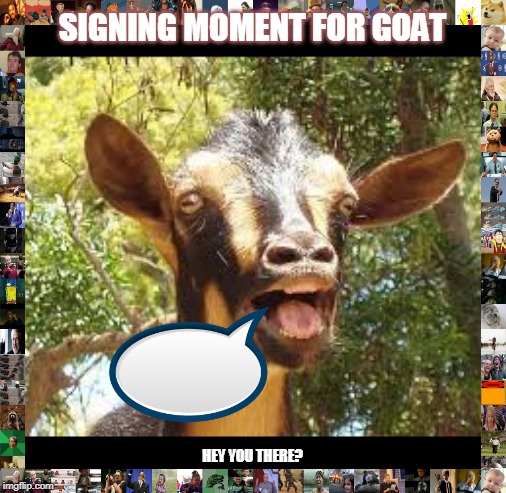 The Goat Singing | SIGNING MOMENT FOR GOAT; HEY YOU THERE? | image tagged in goat,singing,good morning | made w/ Imgflip meme maker