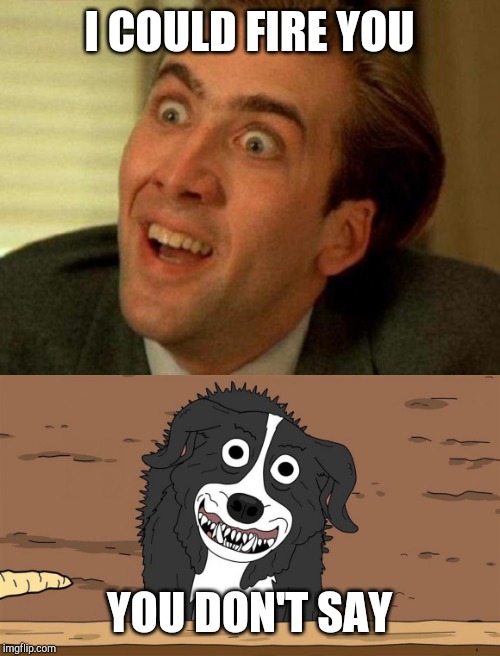 I COULD FIRE YOU; YOU DON'T SAY | image tagged in nicolas cage | made w/ Imgflip meme maker