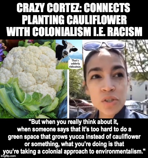 A Kick In The Plants | CRAZY CORTEZ: CONNECTS PLANTING CAULIFLOWER WITH COLONIALISM I.E. RACISM; "But when you really think about it, when someone says that it’s too hard to do a green space that grows yucca instead of cauliflower or something, what you’re doing is that you’re taking a colonial approach to environmentalism." | image tagged in alexandria ocasio-cortez,racism,rant,no racism,white people | made w/ Imgflip meme maker