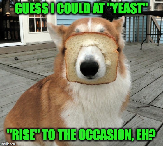 GUESS I COULD AT "YEAST" "RISE" TO THE OCCASION, EH? | made w/ Imgflip meme maker