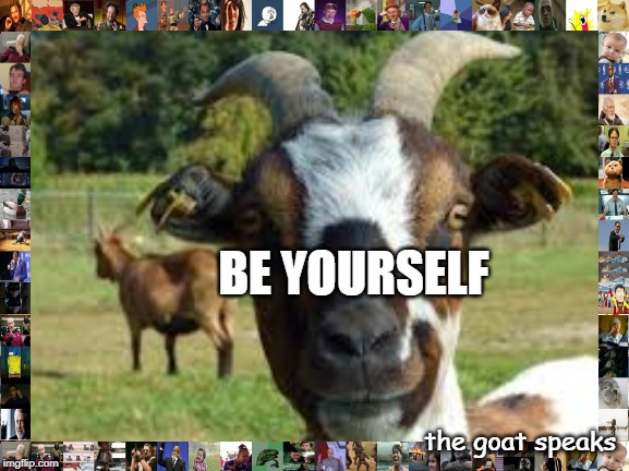 be yourself | BE YOURSELF; the goat speaks | image tagged in funny,life lessons,goat memes | made w/ Imgflip meme maker
