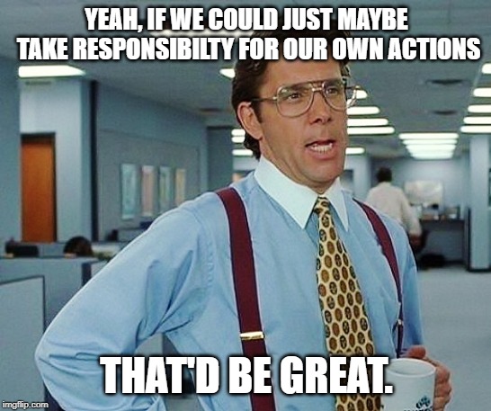 That'd Be Great | YEAH, IF WE COULD JUST MAYBE TAKE RESPONSIBILTY FOR OUR OWN ACTIONS; THAT'D BE GREAT. | image tagged in that'd be great | made w/ Imgflip meme maker
