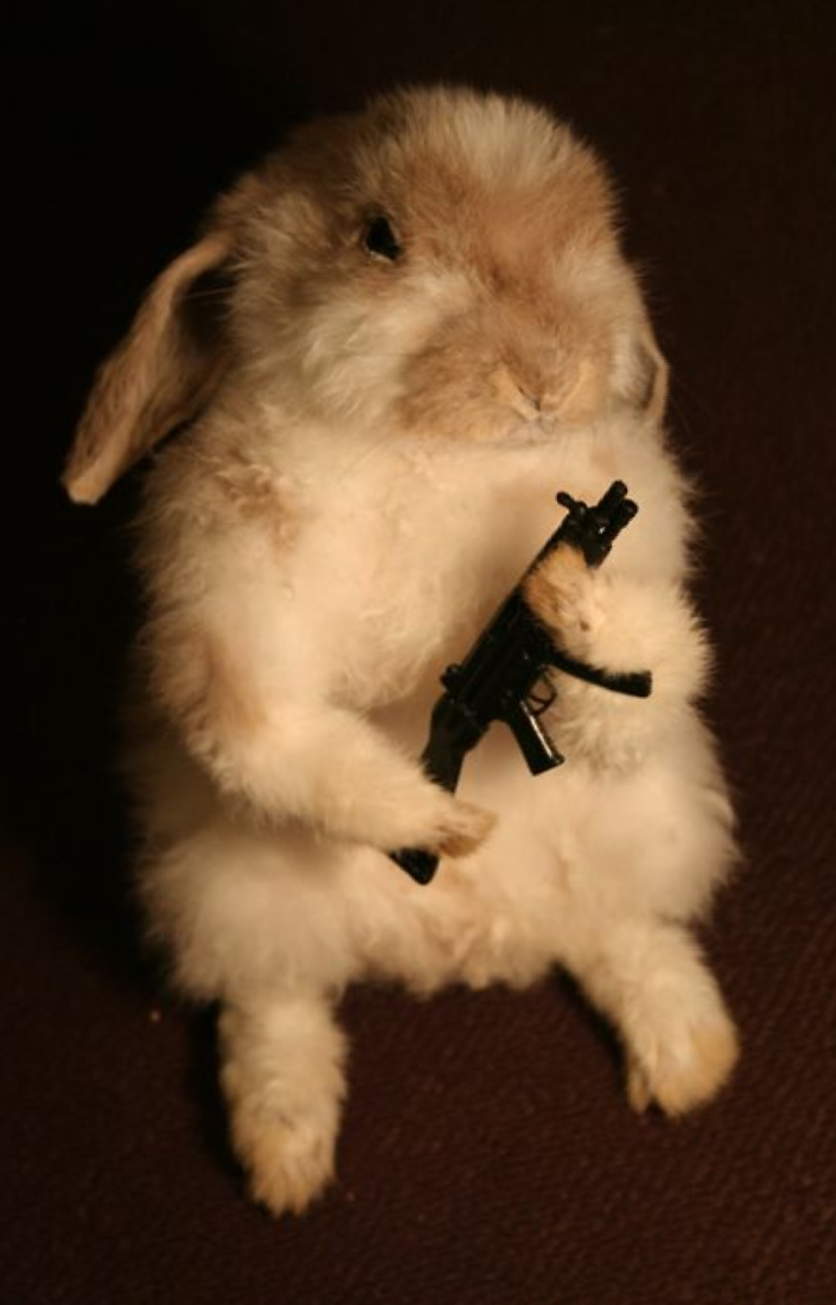 High Quality Bunny holds gun Blank Meme Template